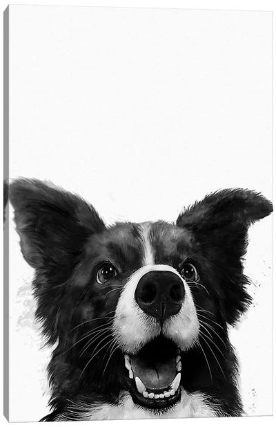 Who's A Good Boy Canvas Art Print - Australian Cattle Dogs