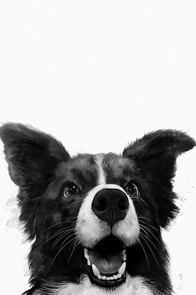 Animal Illustrations: Who's A Good Boy by Laura Graves