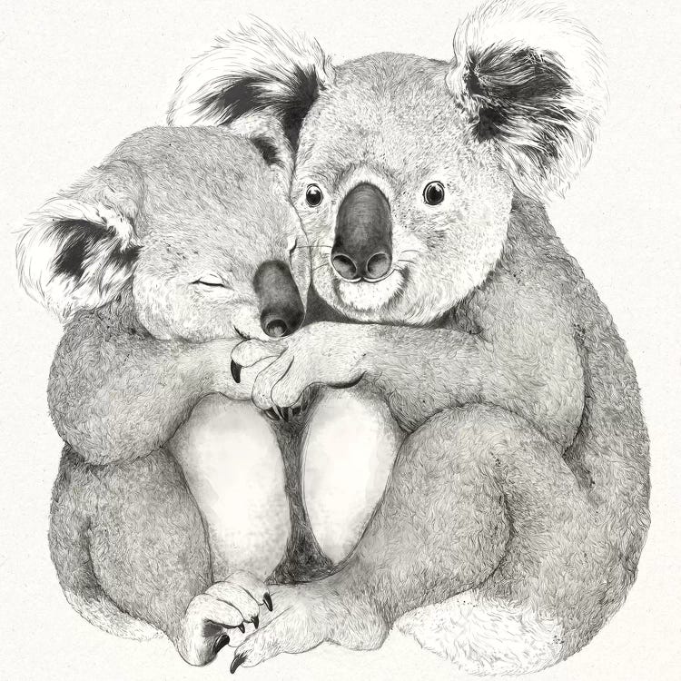 Koalas by Laura Graves wall art