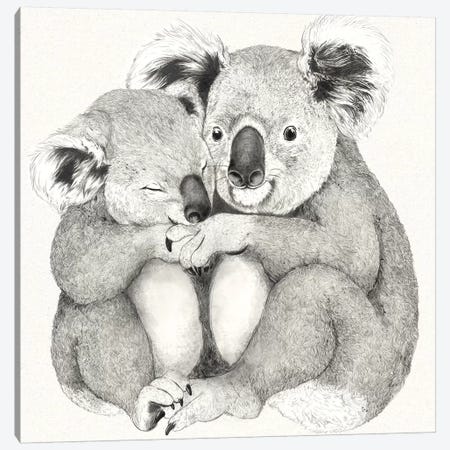 Koalas Canvas Print #GRV49} by Laura Graves Canvas Print