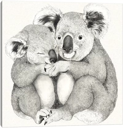 Koalas Canvas Art Print - Laura Graves