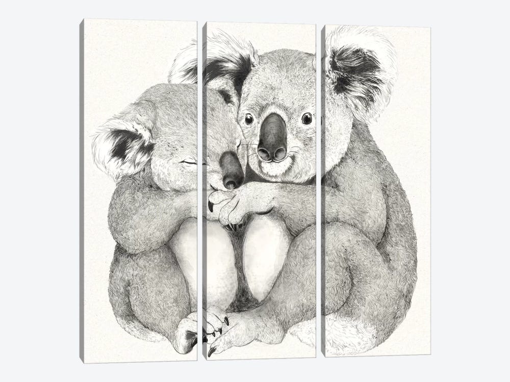 Koalas by Laura Graves 3-piece Canvas Art Print
