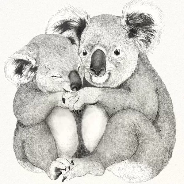Koalas: Koalas by Laura Graves