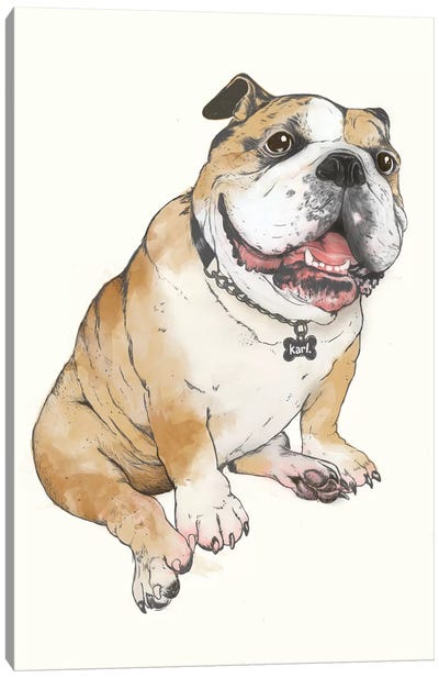 Bulldog Canvas Art Print - Laura Graves