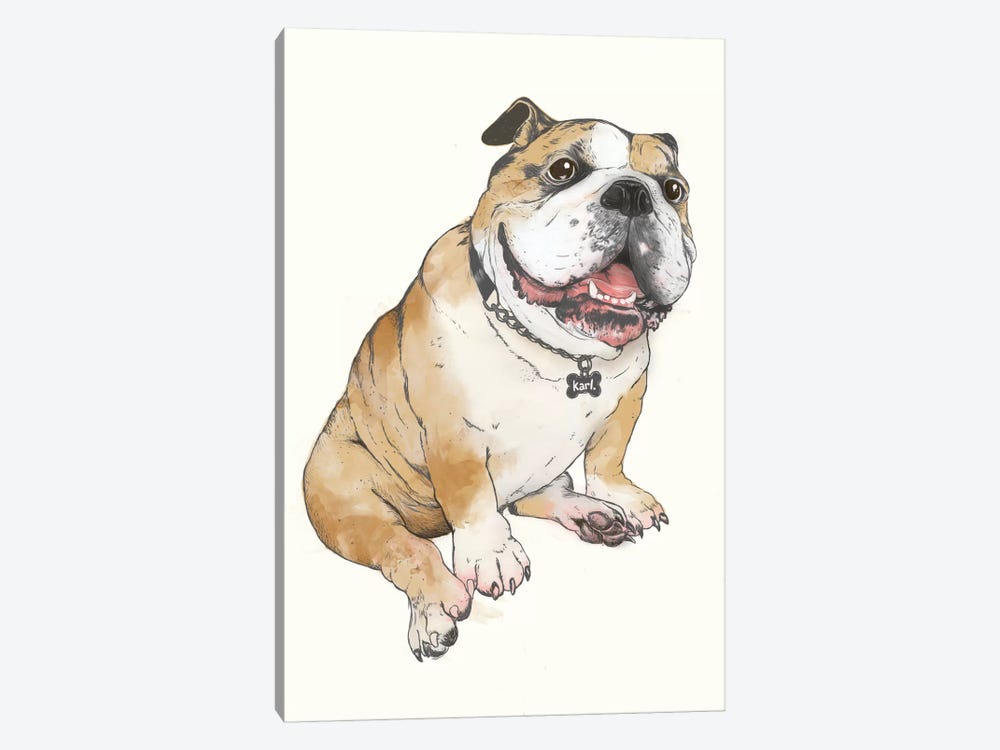 Bulldog by Laura Graves 1-piece Canvas Print