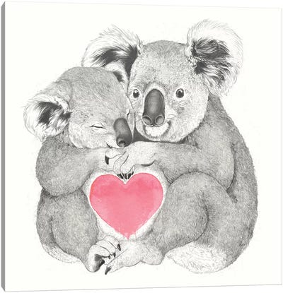 Koalas Love Hugs Canvas Art Print - Laura Graves