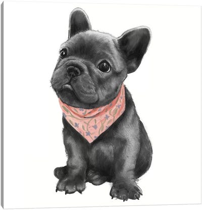 Parlez-Vous Frenchie Canvas Art Print - Puppy Art