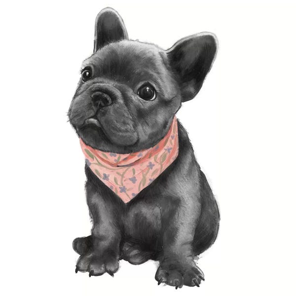 French Bulldogs: Parlez-Vous Frenchie by Laura Graves