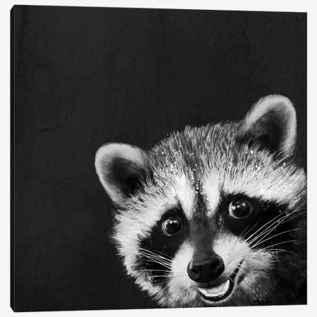 Raccoon Canvas Print #GRV53} by Laura Graves Canvas Wall Art
