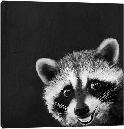 Raccoon Canvas Art Print - Laura Graves