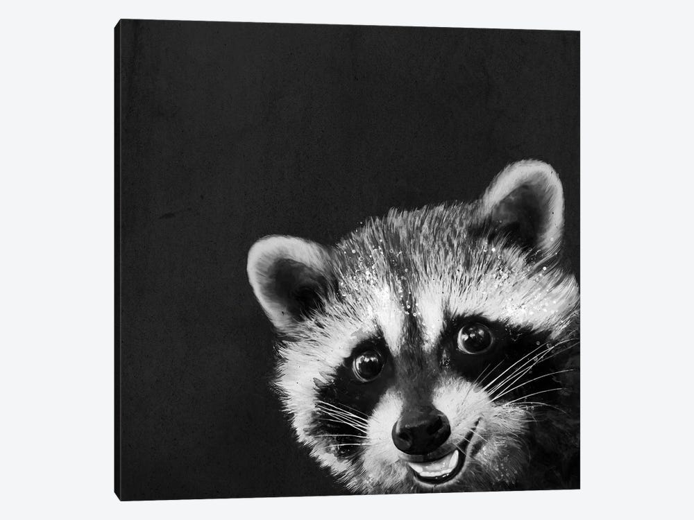 Raccoon by Laura Graves 1-piece Canvas Art
