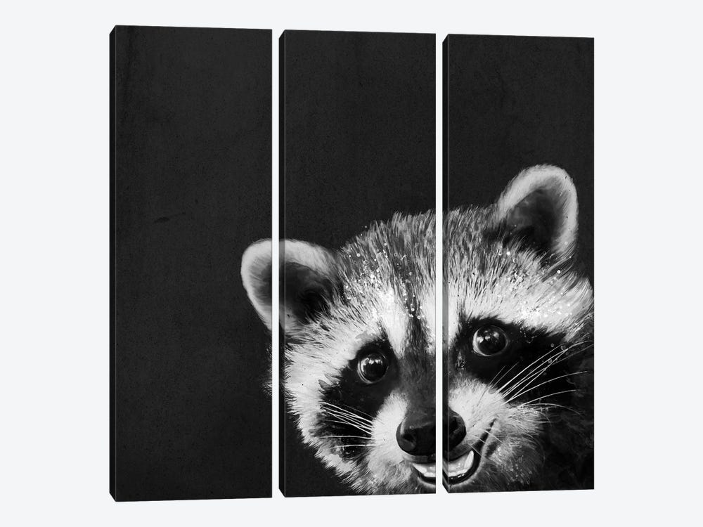 Raccoon by Laura Graves 3-piece Canvas Wall Art