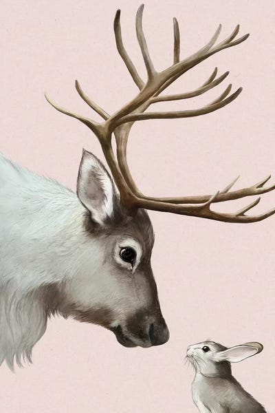 Reindeer: Reindeer & Rabbit by Laura Graves