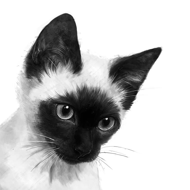 Siamese by Laura Graves wall art