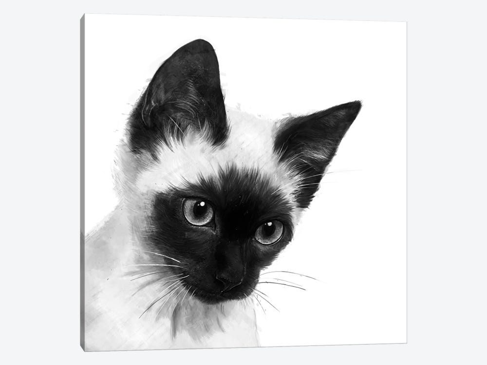 Siamese by Laura Graves 1-piece Canvas Artwork