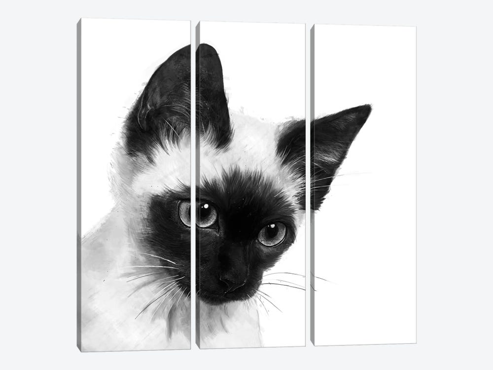 Siamese by Laura Graves 3-piece Canvas Artwork