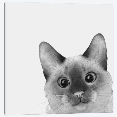 Sneaky Angry Cat Face Graphic · Creative Fabrica