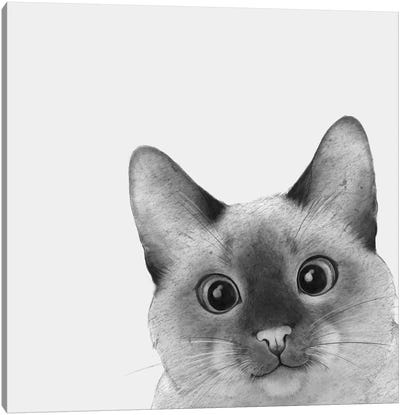 Siamese Sneak A Peek Canvas Art Print - Siamese Cat Art