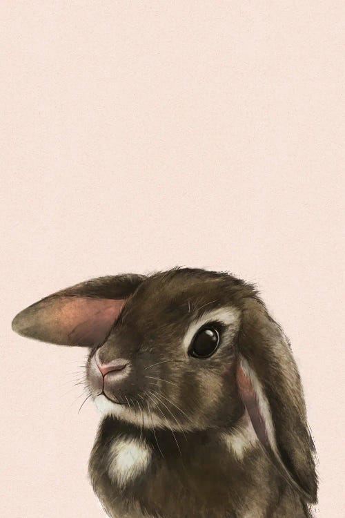 Baby Bunny Blush