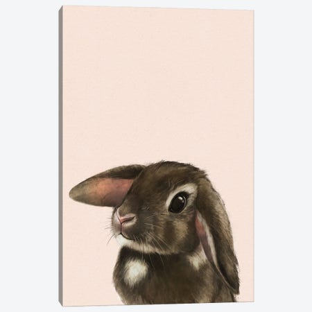 Baby Bunny Blush Canvas Print #GRV60} by Laura Graves Canvas Art Print