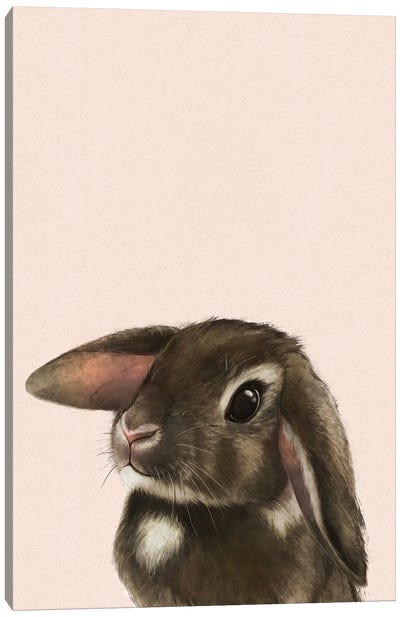 Baby Bunny Blush Canvas Art Print - Laura Graves