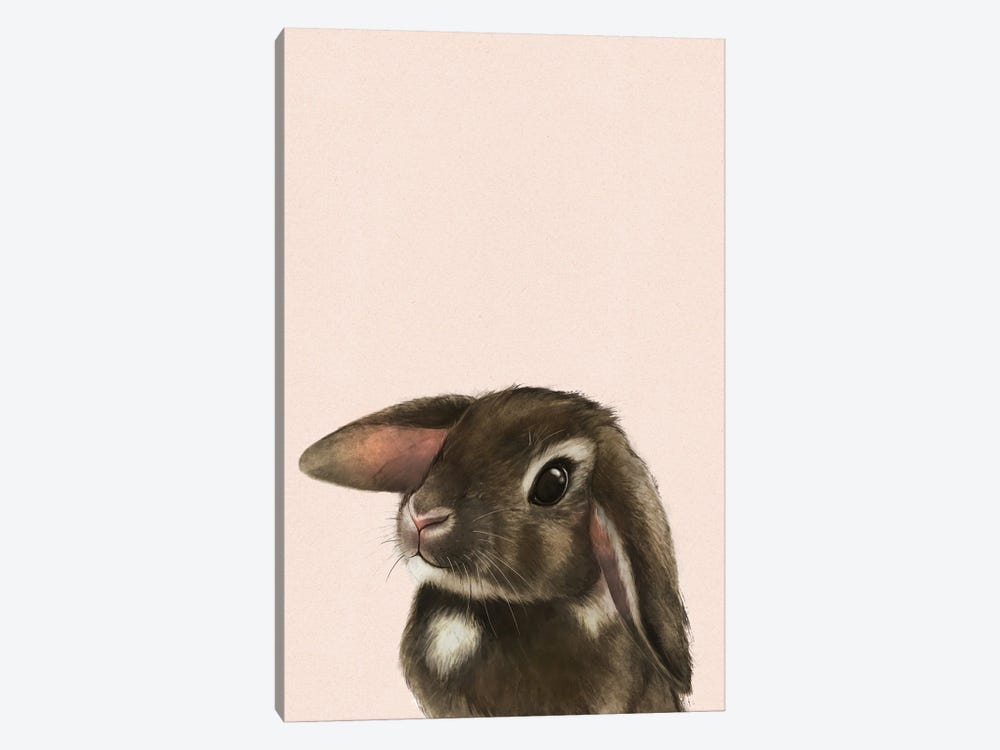 Baby Bunny Blush by Laura Graves 1-piece Canvas Art