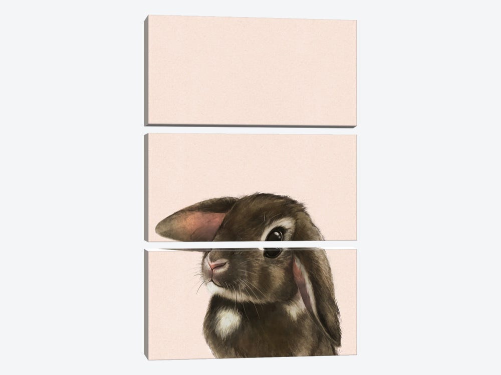Baby Bunny Blush by Laura Graves 3-piece Canvas Wall Art