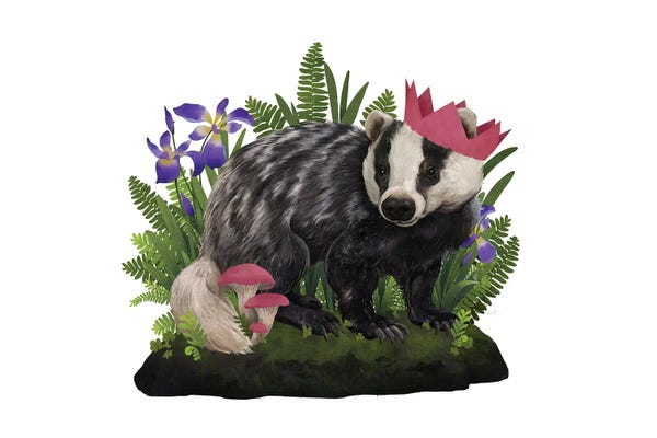 Mushrooms: Badger Queen by Laura Graves