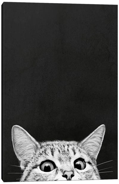 Are You Asleep Yet Canvas Art Print - Black & White Animal Art