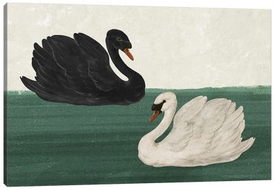 Black Swan White Swan Canvas Art Print - Black, White & Green