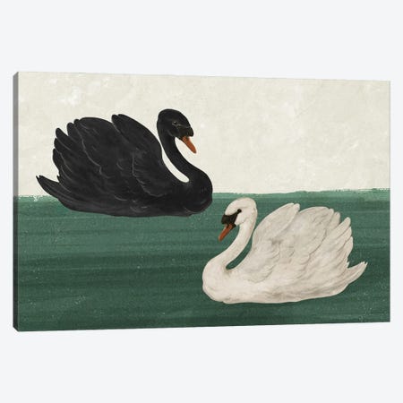 Black Swan White Swan Canvas Print #GRV74} by Laura Graves Canvas Art Print