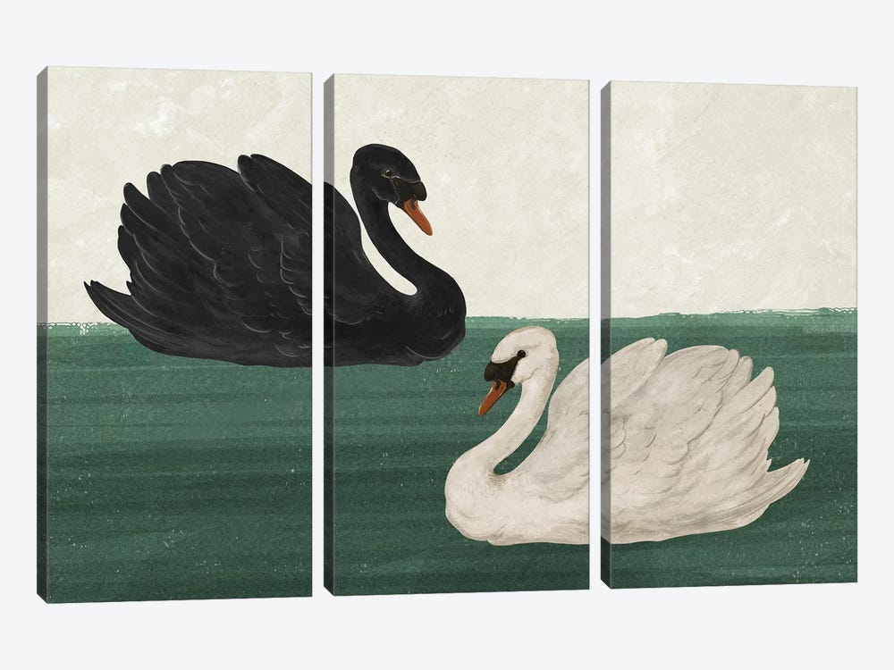 Black Swan White Swan by Laura Graves 3-piece Canvas Print