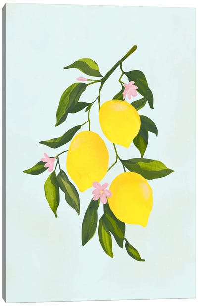 Lemon Branch Canvas Art Print - Minimalist Flowers