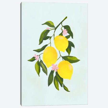 Lemon Branch Canvas Print #GRV75} by Laura Graves Art Print