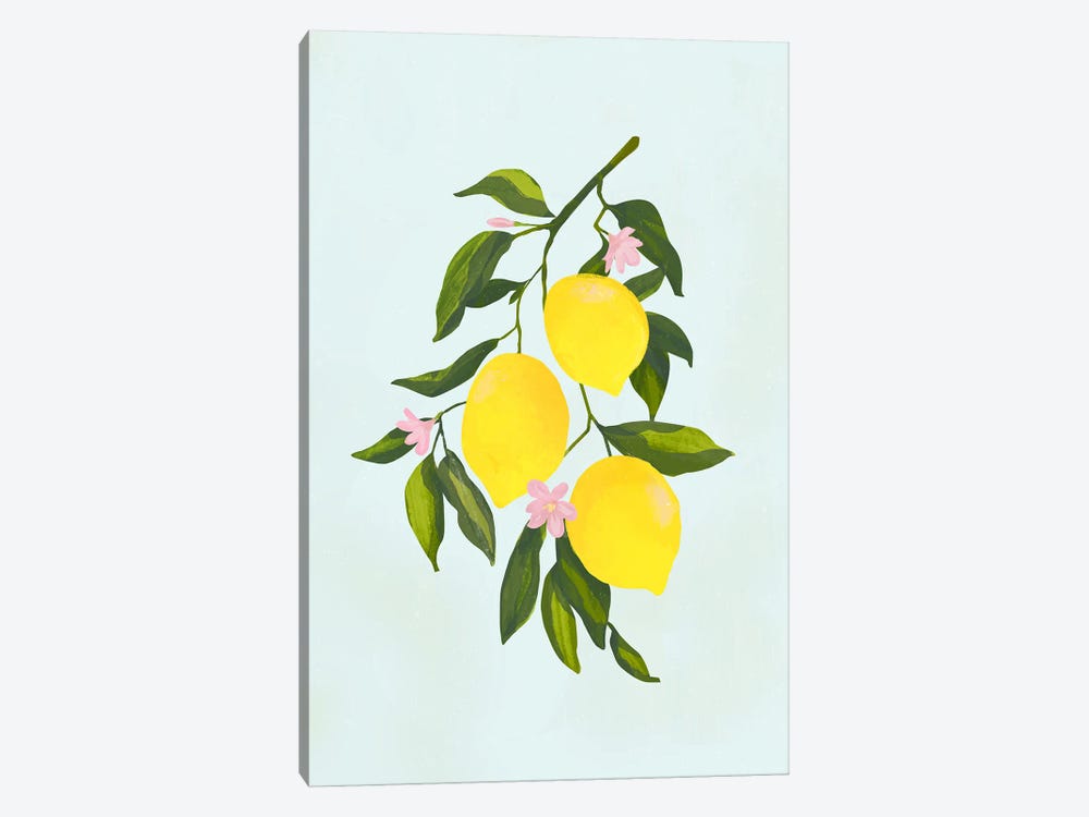 Lemon Branch by Laura Graves 1-piece Canvas Artwork