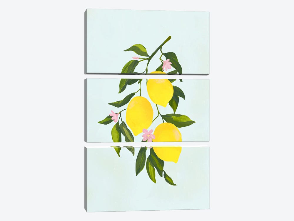 Lemon Branch by Laura Graves 3-piece Canvas Art