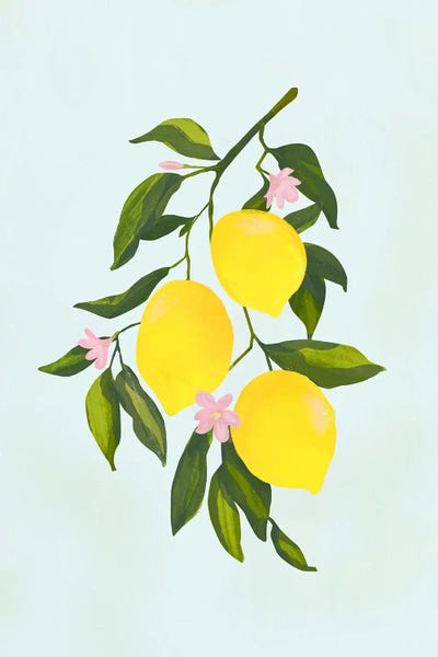 Lemons & Limes: Lemon Branch by Laura Graves