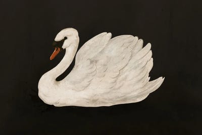 Swans