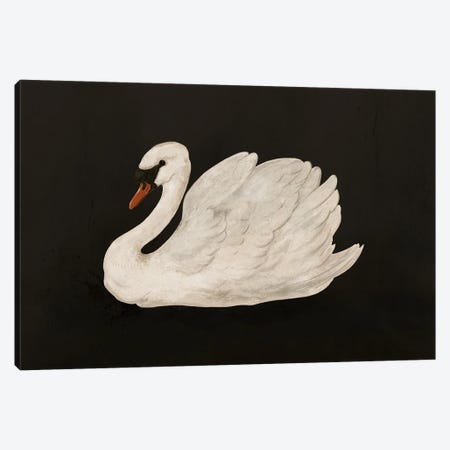 Mute Swan Canvas Print #GRV78} by Laura Graves Canvas Wall Art
