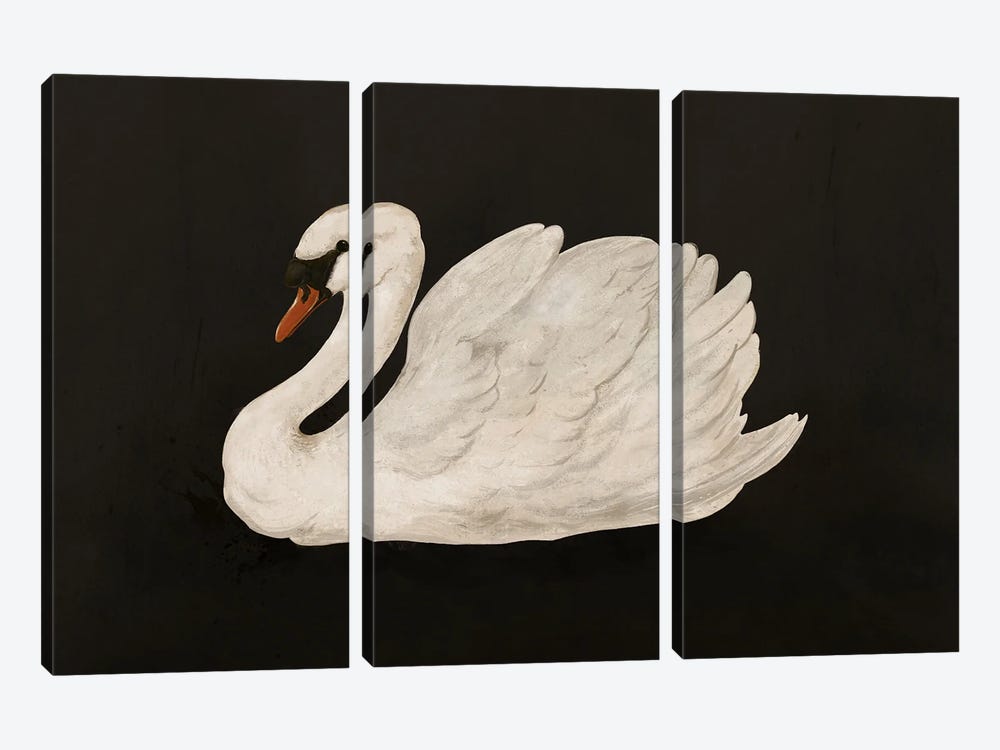 Mute Swan by Laura Graves 3-piece Canvas Art Print