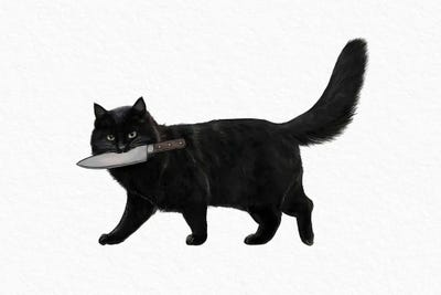 Knife Cat by Laura Graves metal wall art