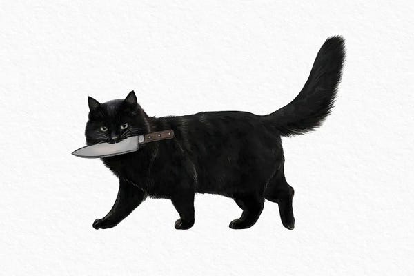 Knife Cat
