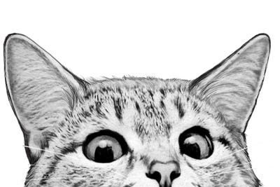 You Asleep Yet On White by Laura Graves metal wall art