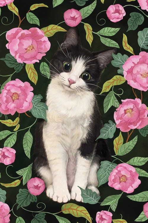 Tuxedo Cat In The Peonies by Laura Graves wall art