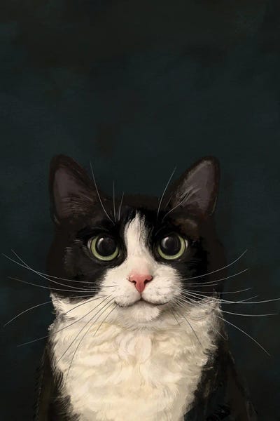 Fine Art Print: Tuxedo Cat by Laura Graves