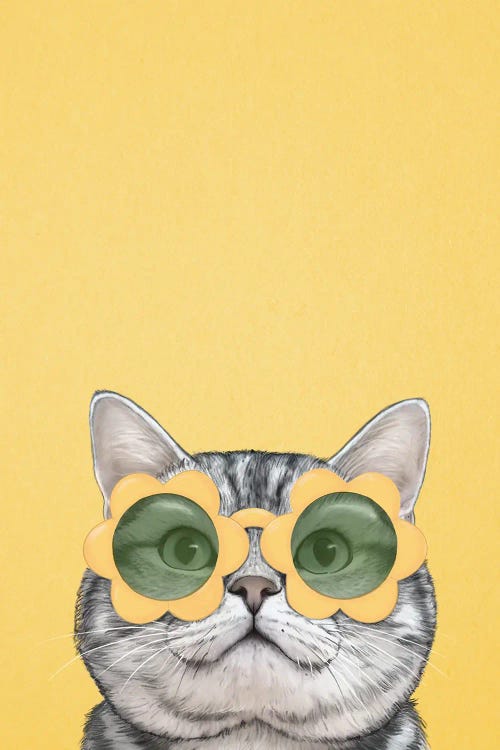 Mellow Yellow Cat