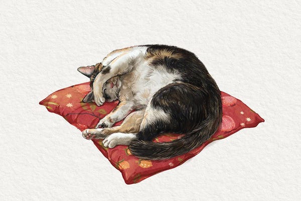 Fine Art Print: Napping Cat Light by Laura Graves