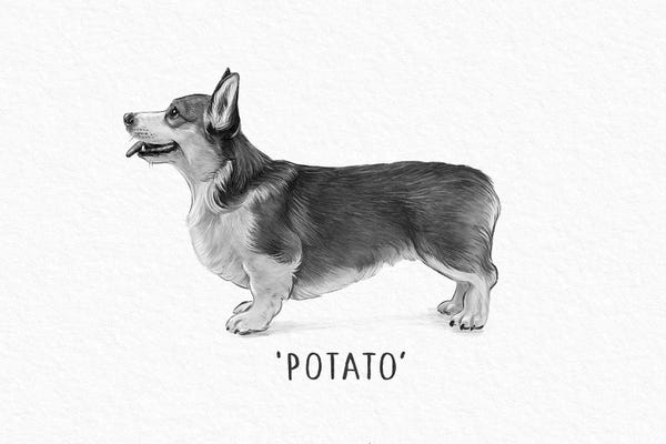 Corgis: Potato Corgi by Laura Graves
