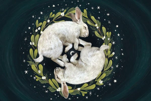 Canvas Print: Rabbits Under The Stars by Laura Graves