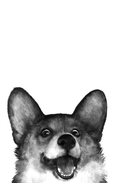 Corgis: Corgi by Laura Graves